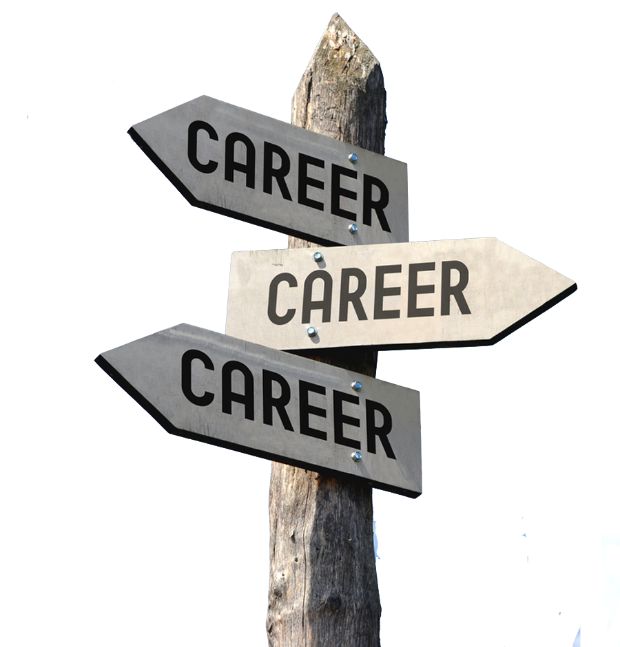 SJM Public School Career